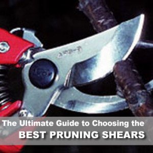 guide to shears
